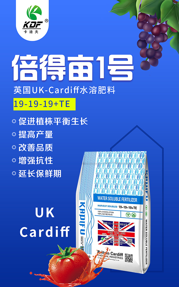 英国卡_夫（北京Q农业科技有限公司.jpg