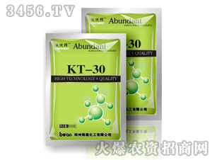 -KT-30-ּ-W 