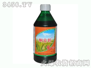 450mlͪ-